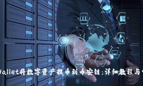 如何使用tpWallet将数字资产提币到币安链:详细教程与常见问题解答