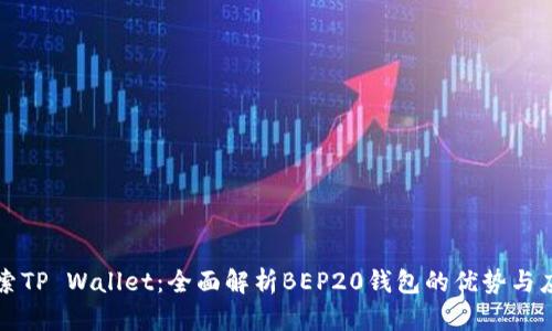探索TP Wallet:全面解析BEP20钱包的优势与应用