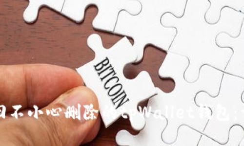 如何找回不小心删除的tpWallet钱包:详细指南