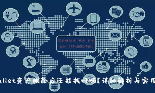 tpWallet资产删除后还能找回吗?详细解析与实用指南