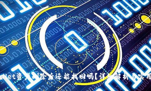 tpWallet资产删除后还能找回吗?详细解析与实用指南