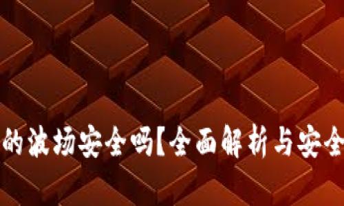 tpWallet的波场安全吗?全面解析与安全防护措施