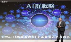 tpWallet地址有哪些？全面解析与使用指