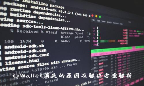 tpWallet消失的原因及解决方案解析