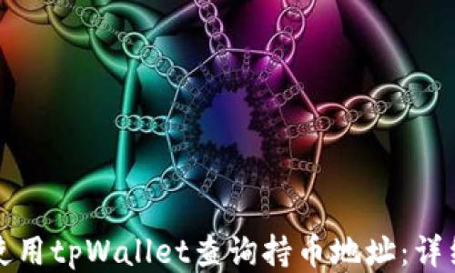 如何使用tpWallet查询持币地址:详细指南