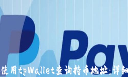 如何使用tpWallet查询持币地址:详细指南