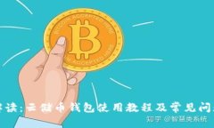 全面解读：云储币钱包使用教程及常见
