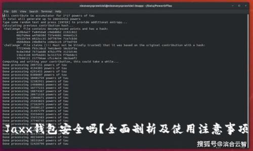 Jaxx钱包安全吗?全面剖析及使用注意事项
