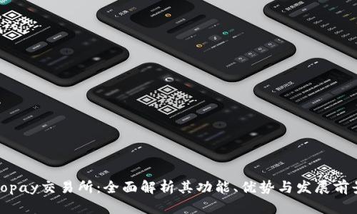 Topay交易所:全面解析其功能、优势与发展前景