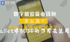 tpWallet中BUSD的作用及使用指南