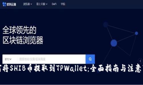 如何将SHIB币提取到TPWallet:全面指南与注意事项