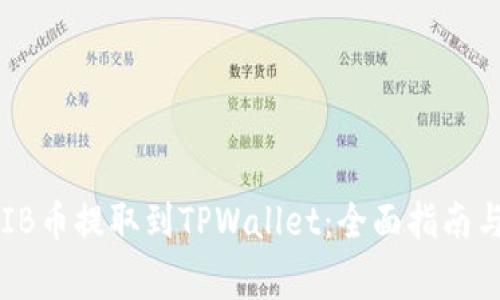 如何将SHIB币提取到TPWallet:全面指南与注意事项