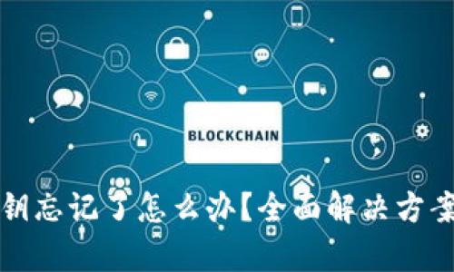 tpWallet密钥忘记了怎么办?全面解决方案与防护建议