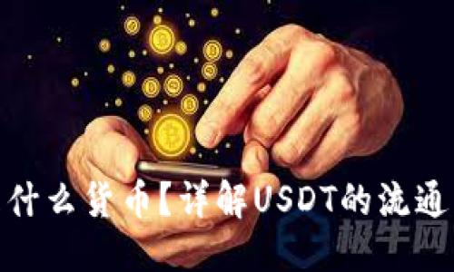 思考
USDT-ERC20是什么货币?详解USDT的流通机制与应用场景