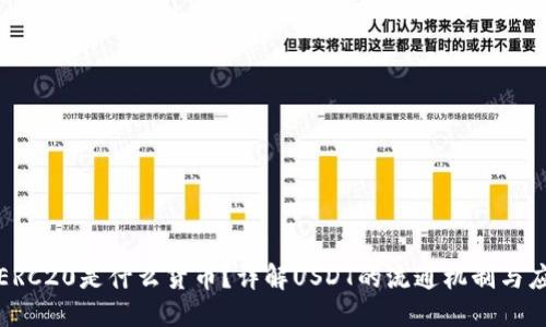 思考
USDT-ERC20是什么货币?详解USDT的流通机制与应用场景