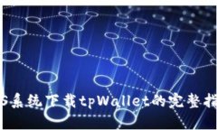 iOS系统下载tpWallet的完整指南