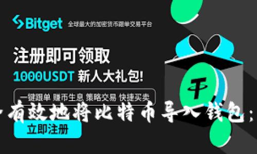 如何安全有效地将比特币导入钱包:详细指南