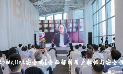 tpWallet安全吗?全面解析用户担忧与安全性