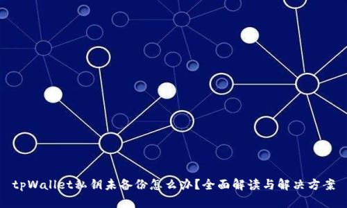 tpWallet私钥未备份怎么办?全面解读与解决方案