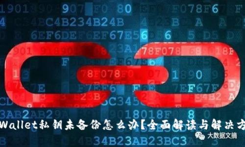 tpWallet私钥未备份怎么办?全面解读与解决方案