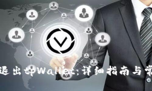 如何安全地退出tpWallet:详细指南与常见问题解答