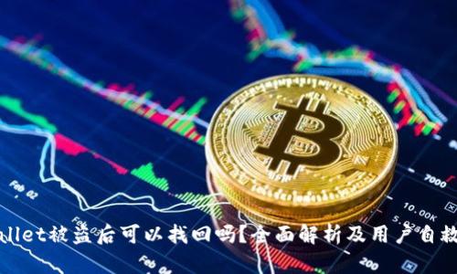 tpWallet被盗后可以找回吗？全面解析及用户自救指南