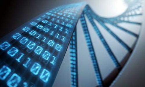   tpWallet兑换等待确认：解决交易延迟问题的方法与技巧 / 
 guanjianci tpWallet, 兑换, 等待确认, 交易延迟 /guanjianci 

在数字货币大潮不断推进的今天，越来越多的人开始使用各种钱包进行日常的加密货币交易。tpWallet作为一种流行的钱包选择，因其稳健的性能与便捷的操作受到广泛欢迎。然而，在实际使用过程中，用户有时会遇到“兑换等待确认”的问题，导致交易延迟，影响用户体验。本篇文章将深入探讨这一问题，给出详细的解决方案和相关问题的解答。 

一、什么是tpWallet？
tpWallet是一款加密货币钱包，支持多种数字资产的存储和交易。用户可以通过这个钱包进行币币兑换、充值、提现和管理加密资产等操作。tpWallet具有用户友好的界面，通过简单的操作即可完成复杂的交易。由于其安全性和易用性，tpWallet吸引了大量用户的使用。 

二、兑换等待确认的原因
当用户在tpWallet进行兑换操作后，可能会遇到“等待确认”的提示。这种情况通常是由以下几个原因造成的： 
ul
    listrong交易网络拥堵：/strong在某些特定时期，比如加密货币市场活跃的时候，交易量会大幅增加，从而导致交易确认时间延长。/li
    listrong矿工费设置过低：/strong每一笔交易都需要支付矿工费，如果用户设置的矿工费用低于网络推荐的费用，交易确认时间可能会被延迟。/li
    listrong区块链技术的特性：/strong区块链上的确认过程依赖于区块的打包时间，若当前区块链没有及时生成新区块，交易确认也会受到影响。/li
    listrong平台自身的问题：/strong某些情况下，tpWallet可能会出现系统故障或者维护，这也会导致兑换后长时间没有确认。/li
/ul

三、如何解决兑换等待确认的问题？
对待“兑换等待确认”的问题，用户可以采取以下几种解决方法： 
ul
    listrong检查交易记录：/strong用户可以在tpWallet内查看交易记录，以确认交易是否已发送。若交易未发送，则需要重新进行兑换操作。/li
    listrong提升矿工费：/strong如果用户发现设置的矿工费过低，可以尝试通过钱包设置提升矿工费用。一般情况下，支付合理的矿工费可加快交易确认速度。/li
    listrong选择合适时机：/strong在高峰期尽量避免进行兑换操作，选择网络相对空闲的时段进行交易，有助于提高确认速度。/li
    listrong更新tpWallet版本：/strong确保tpWallet应用为最新版本，老版本可能存在bug，可能会影响交易准确性。/li
/ul

四、影响交易确认速度的因素有哪些？
交易确认速度主要受以下几个因素的影响： 
ul
    listrong交易难度：/strong区块链的交易难度及其网络的处理能力会影响交易的确认时间。越高的交易难度，交易确认所需要的时间就越长。/li
    listrong区块大小限制：/strong区块链的块大小限制了每个区块内可以打包的交易数量，若该区块已经满了，后续的交易就要等到下一个区块才能被确认。/li
    listrong网络拥堵程度：/strong在网络发生故障、参与者数量急剧增加时，区块链的整体负载加重，从而导致确认时间延长。/li
    listrong矿工的工作量：/strong矿工的积极性也会影响交易的确认速度。在有较多奖励的情况下，矿工可能会更积极地处理用户的交易。/li
/ul

五、如何提高tpWallet的使用体验？
为了提高tpWallet的使用体验，用户可以尝试以下几个方法： 
ul
    listrong定期检查更新：/strong定期检查钱包的版本并及时更新，以避免因软件版本过旧而导致的各种问题。/li
    listrong设置合理的矿工费：/strong在进行交易之前，可以查看当前网络状况，并根据推荐的矿工费用进行设置，避免因费用过低而出现的延迟问题。/li
    listrong学习区块链知识：/strong了解区块链相关知识，包括如何查看交易状态、以及影响交易的各种因素，能够让用户更加高效地处理各种问题。/li
    listrong灵活选择交易时间：/strong尽量选择交易高峰期少的时间进行交易，特别是在加密市场较为平稳的时段，交易确认会相对更快。/li
/ul

六、可以向tpWallet客服寻求帮助吗？
是的，如果用户在使用tpWallet过程中遇到问题，例如交易长时间未确认，可以直接联系tpWallet的客户支持。客服团队通常会提供专业的解答，并能帮助用户解决各类问题。 

七、总结
tpWallet作为一种方便安全的数字货币钱包，其在交易时可能遇到的“兑换等待确认”问题，虽常见，但通过一些技巧与方法，用户能够有效降低问题发生的概率，增强使用体验。通过本篇文章的分享，期待大家在使用tpWallet进行加密货币交易时，能够更加顺利地完成交易! 

扩展问题的解答

1. tpWallet的安全性如何？”
随着数字货币的日益普及，安全性一直是用户最为关注的主题之一，特别是在涉及到资产的存储和交易时。tpWallet采用多重安全策略，以确保用户的资产安全。 
ul
    listrong私钥保护：/strongtpWallet为用户生成的私钥存储在本地设备上，不会泄露至网络，这样用户能够完全控制其资产。有需要时用户可导出私钥以进行备份。/li
    listrong两步验证：/strong拥有两步验证功能，增加了账户的安全性。用户在进行重要操作时，会要求输入与账户关联的手机号或邮箱中发送的验证码。/li
    listrong定期更新：/strongtpWallet开发者会定期更新和修复可能的安全漏洞，确保软件从根本上抵御网络攻击和盗窃风险。/li
/ul
为了提升安全性，用户个人也需定期更改密码，并对自己设备上的安全环境进行管理，例如，安装反病毒软件和防火墙等。 

2. tpWallet支持哪些数字资产？
tpWallet支持多种类型的数字资产，涵盖主流的加密货币，如比特币（BTC）、以太坊（ETH）以及其它众多ERC20代币。同时，tpWallet也会根据市场发展情况，逐渐增加对新兴数字资产的支持。 
ul
    listrong比特币（BTC）：/strong作为数字货币的开山鼻祖，比特币是最被广泛接受的加密货币，tpWallet将其支持作为基本功能。/li
    listrong以太坊（ETH）：/strong以太坊是另一种流行的加密货币，tpWallet为用户提供以太坊转账和管理功能。/li
    listrongERC20代币：/strongtpWallet支持多种ERC20代币，帮助用户进行多样化的投资。/li
/ul
用户在选择钱包时，不妨查看一下tpWallet支持的资产清单，以确保其能满足个人需求。同时，tpWallet会在其官方网站上发布最新的支持资产列表。 

3. tpWallet使用教程是什么样的？
tpWallet的使用过程相对简单，用户只需按照各步骤进行操作即可： 
ul
    listrong下载及注册：/strong用户需在手机应用商店或者官网免费下载tpWallet应用，并按照要求注册账号。注册时需确保提供有效的电子邮箱和手机号码。/li
    listrong备份助记词：/strong根据提示完成助记词的生成，并务必进行妥善备份，以防止意外数据丢失。/li
    listrong添加资产：/strong用户可以在tpWallet中添加其所需的数字资产账户，若需进行充值，可以生成对应的充值地址。/li
    listrong进行交易：/strong在添加资产后，用户可以顺利地进行兑换、转账等交易操作。 /li
/ul
在每个环节中，tpWallet都会有相应的提示说明，符合用户使用习惯。 

4. tpWallet是否支持法币交易？
目前tpWallet主要以加密货币之间的交易为主，尚未全面支持法定货币交易。在未来，随着加密市场的不断发展，tpWallet可能会考虑在其平台上增加法币入口，帮助用户更方便地进行资金兑换。 
若用户希望实现法定货币的交易，通常可通过一些交易所或其他平台实现，然后再将法币兑换成tpWallet支持的数字资产。但在操作过程中，用户应仔细阐明资金来源和安全性，确保其资产安全。 

5. tpWallet的用户支持有哪些途径？
tpWallet为用户提供多种支持途径，以确保在遇到问题时，能够迅速得到帮助： 
ul
    listrong官方文档：/strongtpWallet官网上提供完整的使用指南和常见问题解答，用户可通过阅读官方文档来解决大部分常见问题。/li
    listrongEmail支持：/strong用户可通过电子邮件联系官网官方支持团队，通常会在1-2个工作日内获得回复。/li
    listrong社区支持：/strongtpWallet的用户社区活跃，用户可以在论坛或者社交媒体平台上进行提问和交流，获取其他用户的建议与帮助。/li
/ul
此外，tpWallet还会在官网社交媒体上发布产品信息及更新，用户可以关注这些渠道来获取最新动态。 

6. tpWallet的未来发展趋势如何？
随着加密市场的不断发展，tpWallet也在探索未来的发展方向。以下是一些可能的趋势： 
ul
    listrong更多资产支持：/strong随着新兴数字资产不断增加，tpWallet可能会进一步扩展其支持的数字资产，提供更全面的资产管理服务。/li
    listrong增强用户体验：/strong为了提升用户友好性，tpWallet将致力于界面设计和操作流程，简化用户的日常操作。/li
    listrong扩展法币入口：/strong在对法币服务的增加下，tpWallet或许会增加法币交易的支持，帮助用户实现更便捷的资金管理。/li
    listrong安全性持续提升：/strongtpWallet将会加强对用户资产的安全保障，推出更先进的双重认证等安全措施，以保障用户资产安全。/li
/ul
总之，通过不断的技术创新和用户反馈，tpWallet会力求在未来的发展中为用户提供更好的服务。 

希望本篇文章能为广大tpWallet用户在遇到“兑换等待确认”的问题时，提供一定的指导和帮助！