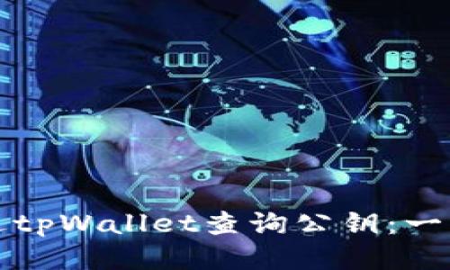 如何通过tpWallet查询公钥：一步步教程