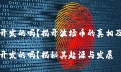 波场币是中国开发的吗？揭开波场币的