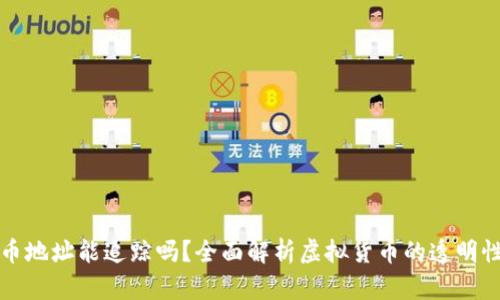 虚拟币充币地址能追踪吗？全面解析虚拟货币的透明性与隐私性