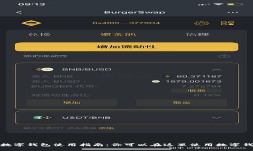 : 数字钱包使用指南：你可以在这里使用数字钱包