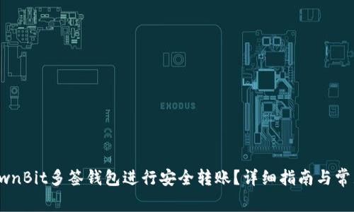 如何使用OwnBit多签钱包进行安全转账？详细指南与常见问题解答