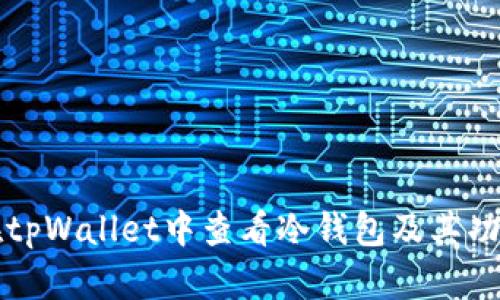 如何在tpWallet中查看冷钱包及其功能解析