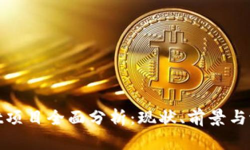 tpWallet项目全面分析：现状、前景与潜在风险