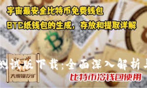 tpWallet测试版下载：全面深入解析与实用指南