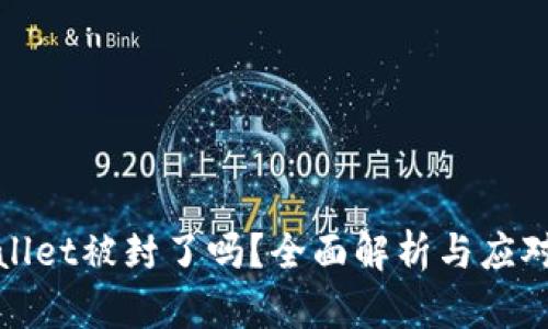tpWallet被封了吗？全面解析与应对策略