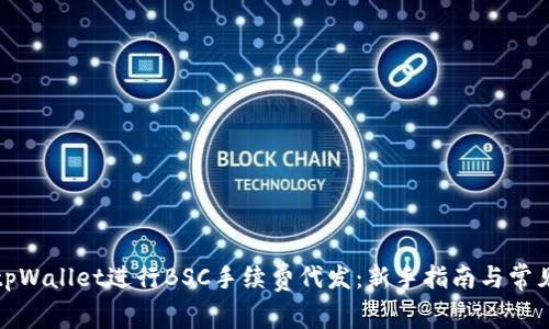 如何使用tpWallet进行BSC手续费代发：新手指南与常见问题解答