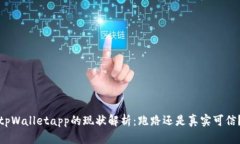 tpWalletapp的现状解析：跑路还是真实可