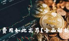 为什么tpWallet加速交易的费用如此高昂？全面解析