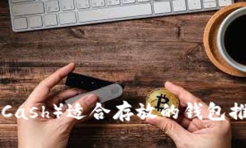 BCC（Bitcoin Cash）适合存放的钱包推荐及使用指南