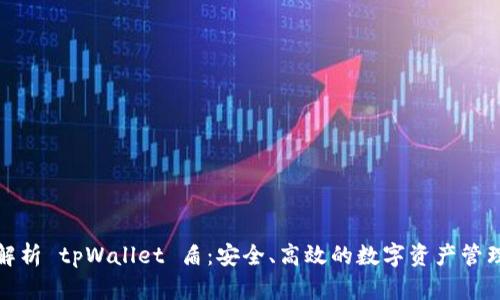 全面解析 tpWallet 盾：安全、高效的数字资产管理工具
