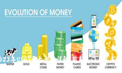 2023年USDT平台交易详解：新手入门与高手技巧