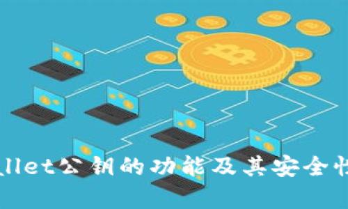 tpWallet公钥的功能及其安全性分析
