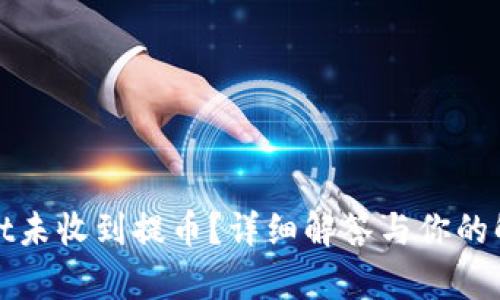tpWallet未收到提币？详细解答与你的解决方案