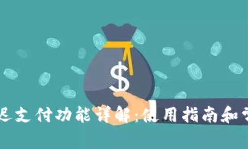 tpWallet延迟支付功能详解：使用指南和常见问题解析