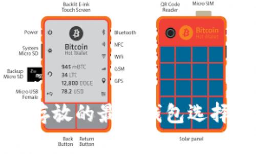 瑞波币可以存放的最佳钱包选择与使用指南