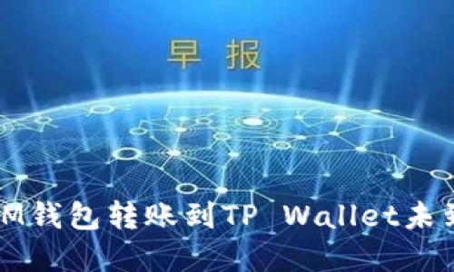 如何解决IM钱包转账到TP Wallet未到账的问题