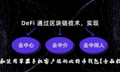 如何选择和使用苹果手机客户端的比特
