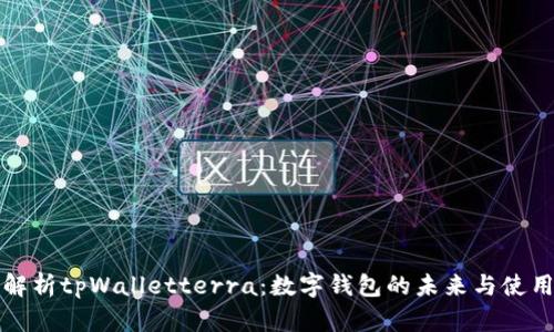 全面解析tpWalletterra：数字钱包的未来与使用指南