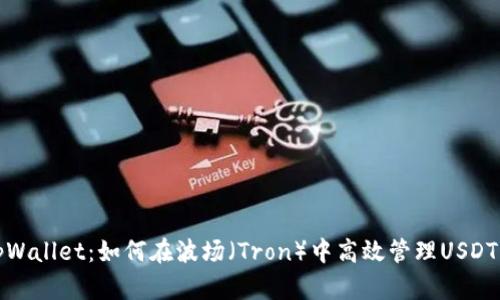 : tpWallet：如何在波场（Tron）中高效管理USDT资产